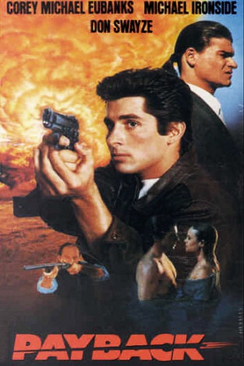 Постер Payback